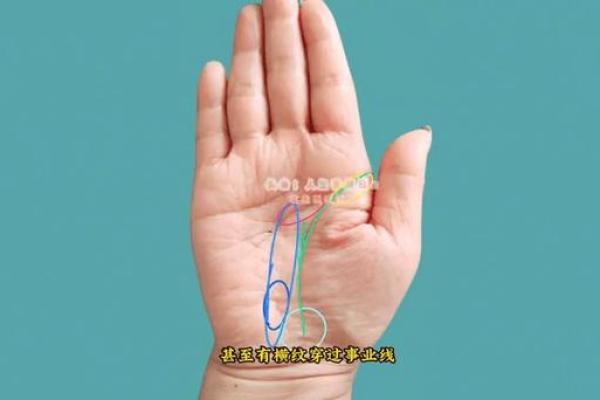 手掌花纹解析:揭示命运的秘密与人生轨迹! 手掌花纹解析:揭示命运的秘密与人生轨迹!