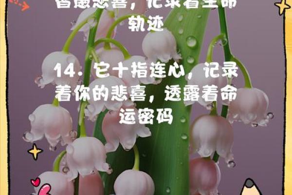 手掌花纹解析:揭示命运的秘密与人生轨迹! 手掌花纹解析:揭示命运的秘密与人生轨迹!