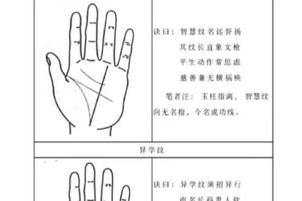 男生手相解密：如何从掌纹看出命运与性格