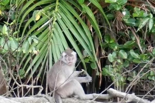 泉中水命男孩的颜色选择,助力人生航程! 泉中水命男孩的颜色选择,助力人生航程!