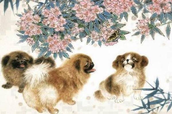 属狗11月出生的人命运分析:才华横溢,开朗豁达的生活轨迹 属狗11月出生的人命运分析:才华横溢,开朗豁达的生活轨迹