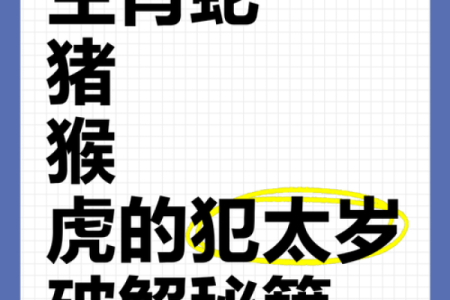 2022年属虎宝宝，命格解析与健康成长之道