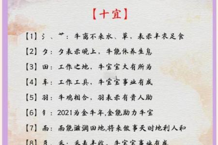 牛宝宝6点出生，命运解析与人生启示