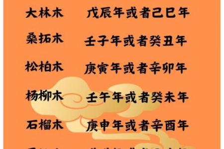 木命生什么命孩子更佳，解析五行之道与命理搭配！