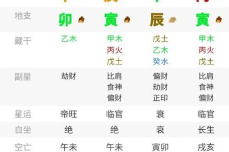 壬寅五行中的甲木命解析：如何理解与运用？