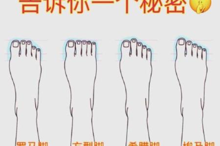 脚型与命运：你不知道的秘密解析