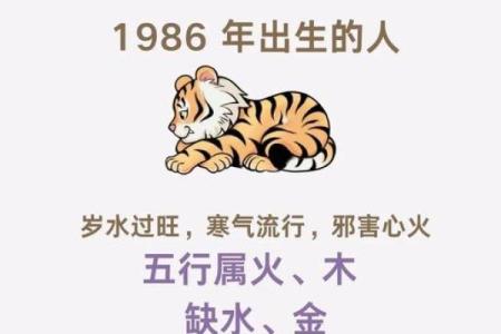 属虎人命理解析：金木水火土五行对性格与运势的影响