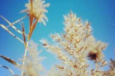 女九月初九的命理解析：识得命中注定的幸福与挑战