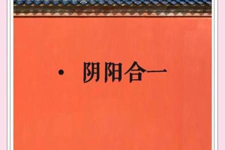 解读“阴家之命”：命运与选择的哲学思考