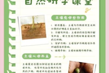 如何识别土命物品？探寻大地之灵的神秘力量