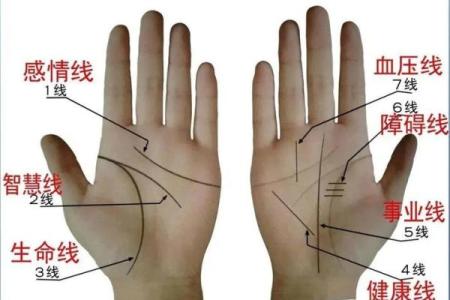 男生手相解密：如何从掌纹看出命运与性格