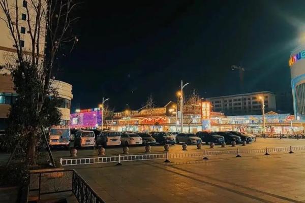 拼了命上名校：背后的故事与追求