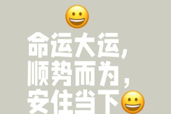 命运的安排：从成语看人生的机遇与挑战