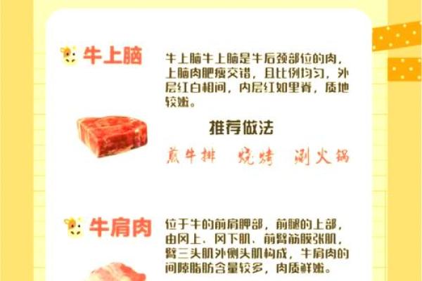 属鸡的牛：细说牛的进食习惯和命运之谜