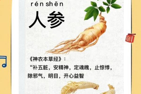 人参的神奇力量:揭示其如何延续生命的秘密 人参的神奇力量:揭示其如何延续生命的秘密