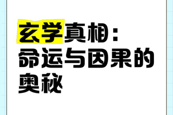 命书的奥秘：解锁命运背后的秘密世界
