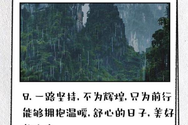 三火一木命格：揭开命理之谜，助您扬帆起航