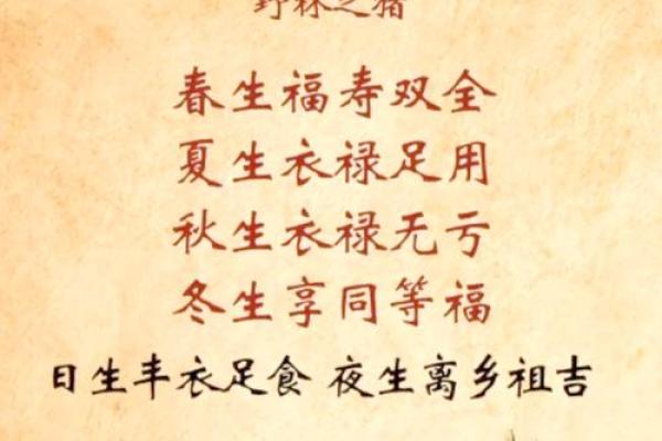 山下火鸡命里缺什么?揭秘五大关键元素! 山下火鸡命里缺什么?揭秘五大关键元素!