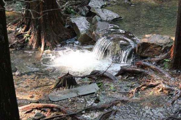 山下火命与其他命理的深度解析与对比