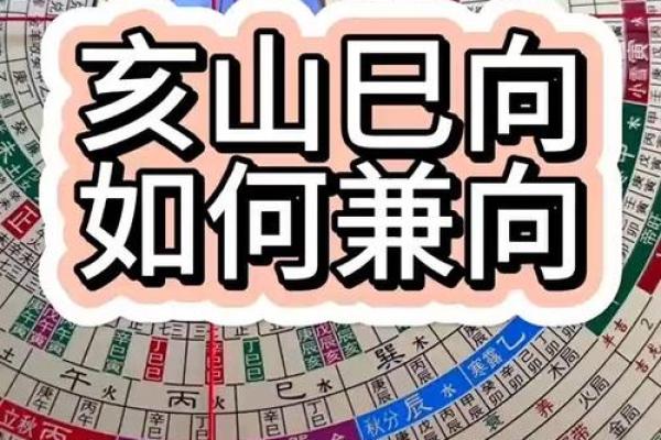 适合坐己山亥向的命局解析与生活指导 适合坐己山亥向的命局解析与生活指导