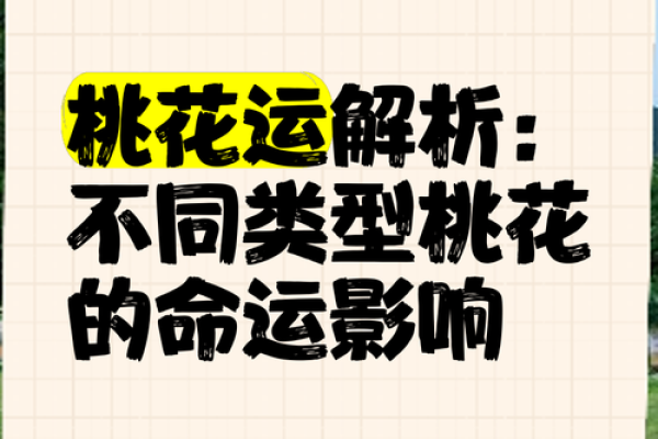 解析桃花命：男人命运中的桃花运与感情历程