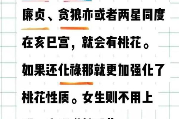 解析桃花命：男人命运中的桃花运与感情历程