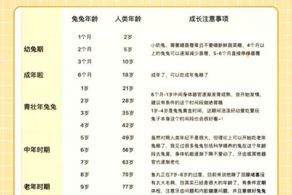 不同年份出生的兔子与命运的关系解析