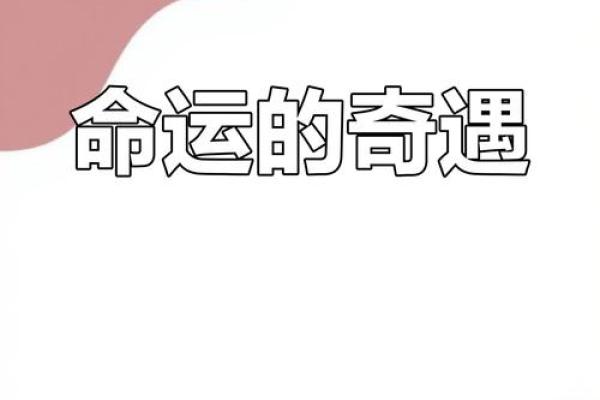 1985年出生的牛命运：踏实生活与梦想追求的旅程