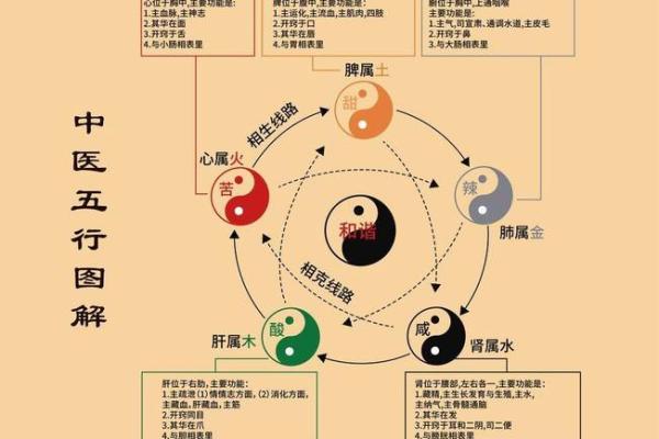 解密阴阳命：探寻命运背后的奥秘与平衡