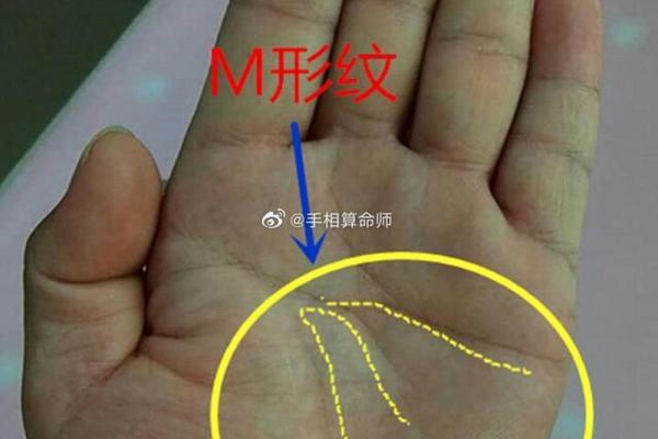 女命天禄的独特含义与命理解析