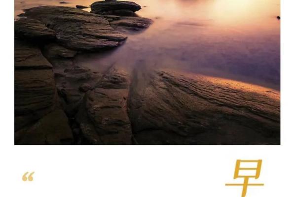 上上笠兰花命:魅力与智慧的完美结合,探索人生的无限可能 上上笠兰花命:魅力与智慧的完美结合,探索人生的无限可能