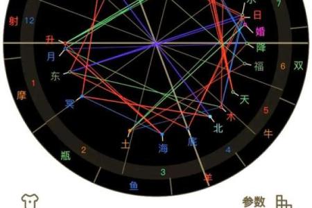 如何利用软件轻松查询命盘位置，让你更了解自己的人生运势！