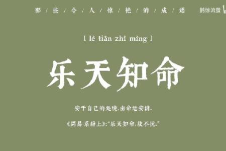 命运的安排：从成语看人生的机遇与挑战