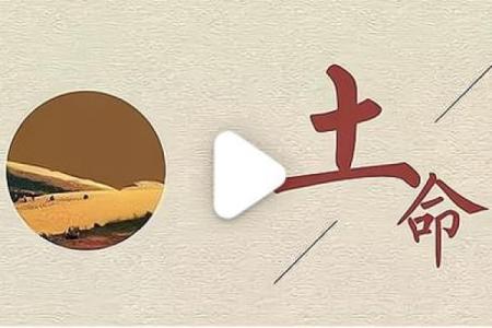 属猴土命适合的生意推荐与成功秘诀探秘