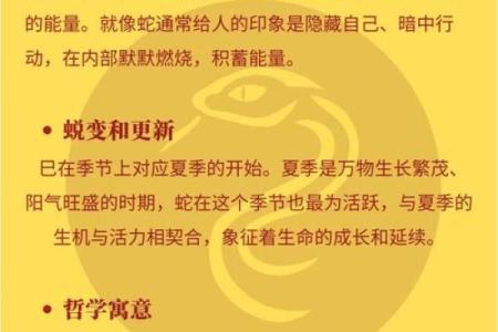 农历二月属蛇的人命理解析：品格与命运的奇妙交织