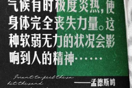 命运与自然：人生的旋律与和谐之美