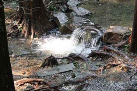 山下火命与其他命理的深度解析与对比