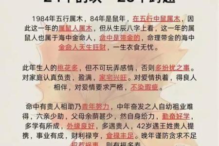 解密1996年属鼠人的命运与人生轨迹，探索他们的独特之路！