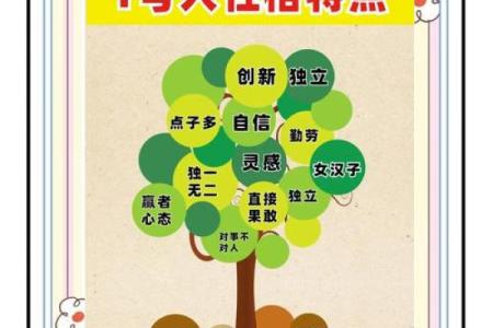 命之星：那些热爱自我探索与心灵成长的人群