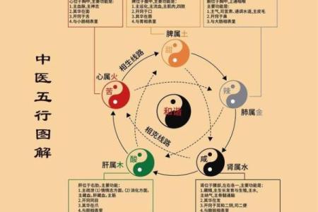 解密阴阳命：探寻命运背后的奥秘与平衡