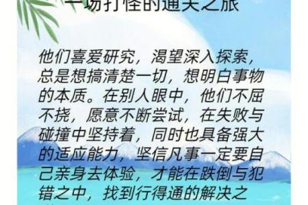 上上笠兰花命：魅力与智慧的完美结合，探索人生的无限可能