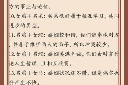 属鸡人的星座与命运解读：寻找你的幸福之路