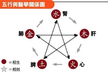 石榴木命与土命的关系探秘：命理学中的相生相克之道