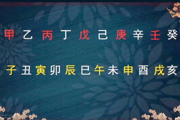 揭秘五行属相:如何看出你的命运与人生轨迹 揭秘五行属相:如何看出你的命运与人生轨迹