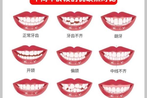 女26颗牙的命运和性格解析:你知道吗? 女26颗牙的命运和性格解析:你知道吗?