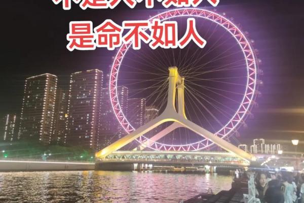 命中注定：生下什么命，便是什么命的深刻思考