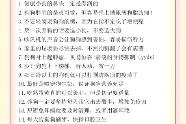 狗狗的忠诚与勇敢：如何一只狗能救主人一命的真实案例