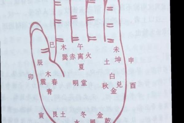 女人手上十个螺纹的命运解析:揭示隐藏的命运秘密 女人手上十个螺纹的命运解析:揭示隐藏的命运秘密
