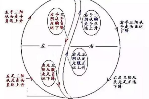 适合做安保工作的命格分析与揭秘