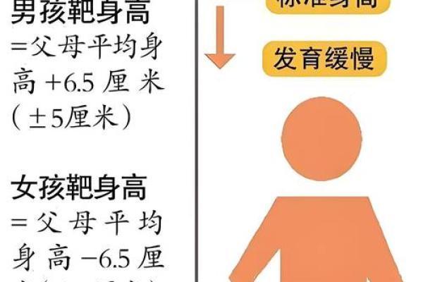 揭秘身高与命运的关系:如何通过对照表找到你的最佳身高 揭秘身高与命运的关系:如何通过对照表找到你的最佳身高